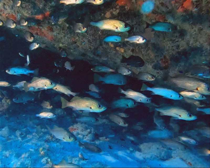 Divesite Image