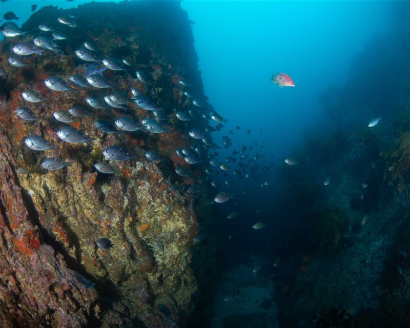 Divesite Image