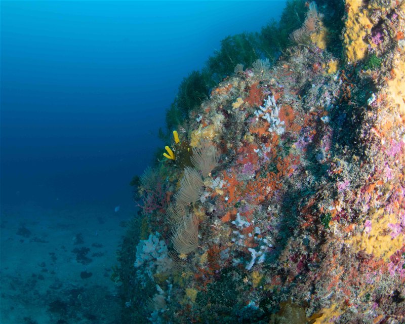 Divesite Image