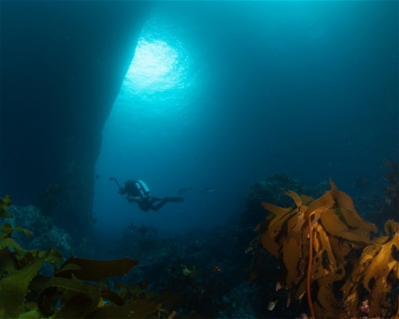 Divesite Image