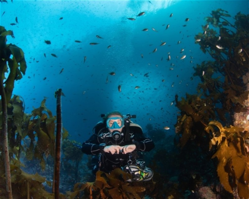 Divesite Image
