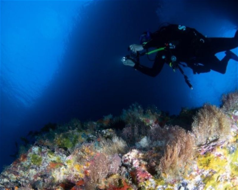 Divesite Image