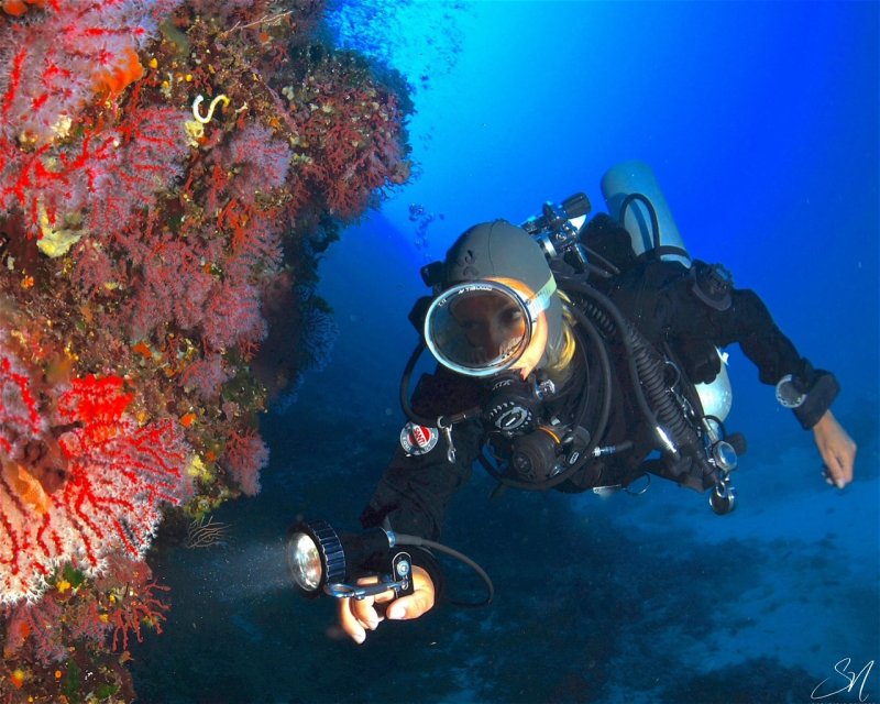 Divesite Image