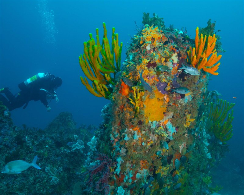 Divesite Image
