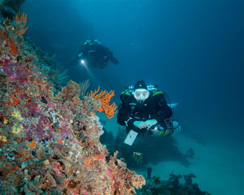 Divesite Image