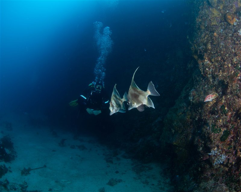Divesite Image