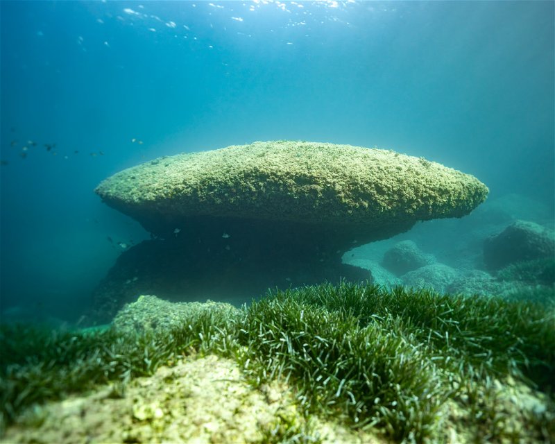 Divesite Image