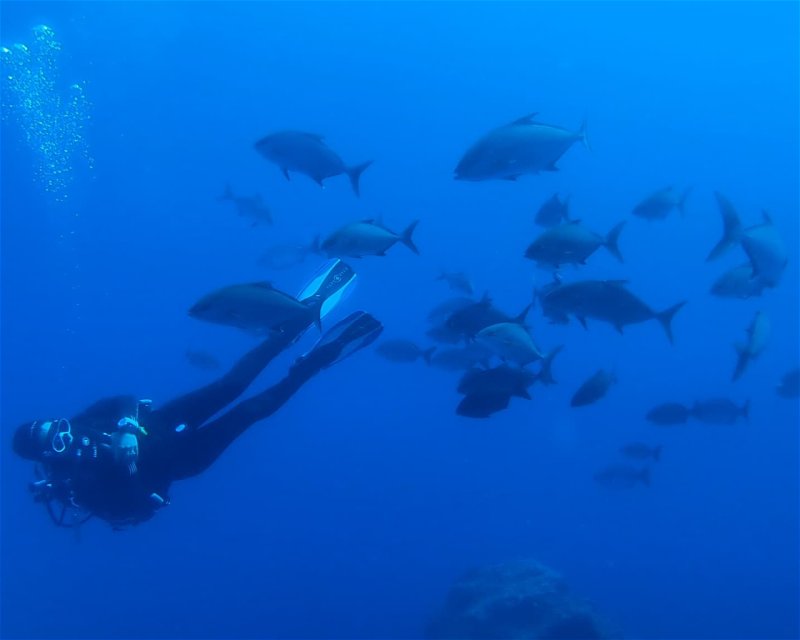 Divesite Image