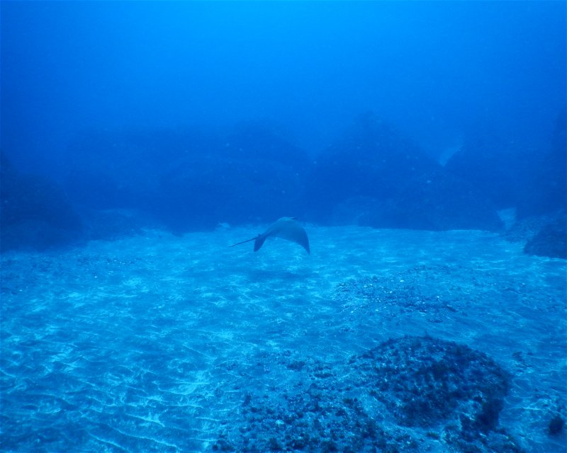 Divesite Image