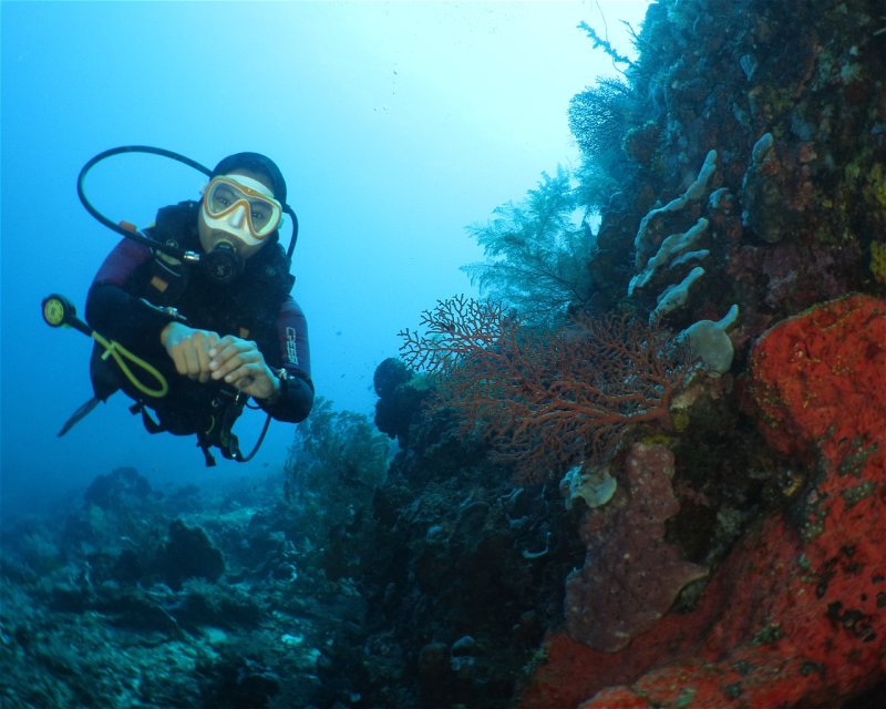 Divesite Image