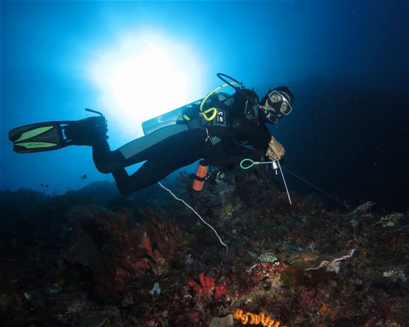Divesite Image
