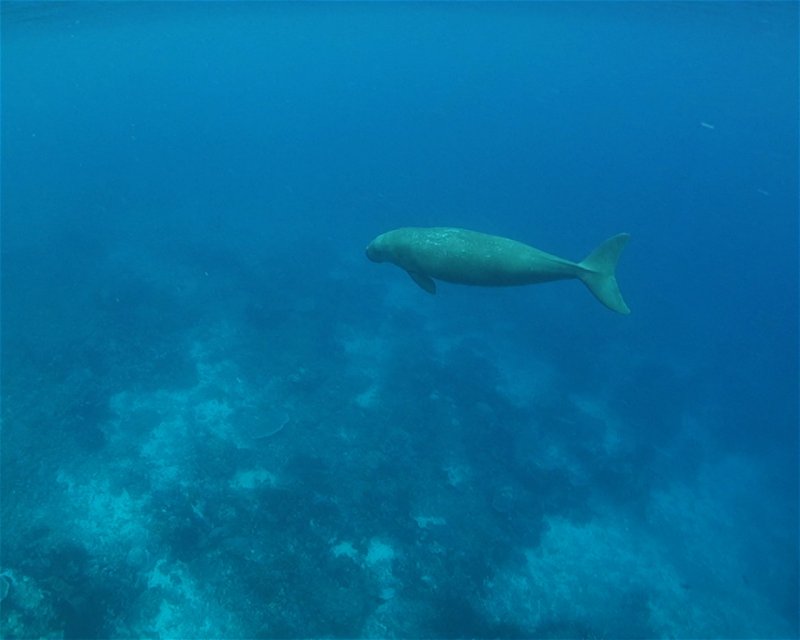 Divesite Image
