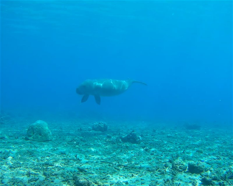 Divesite Image