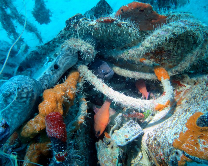 Divesite Image