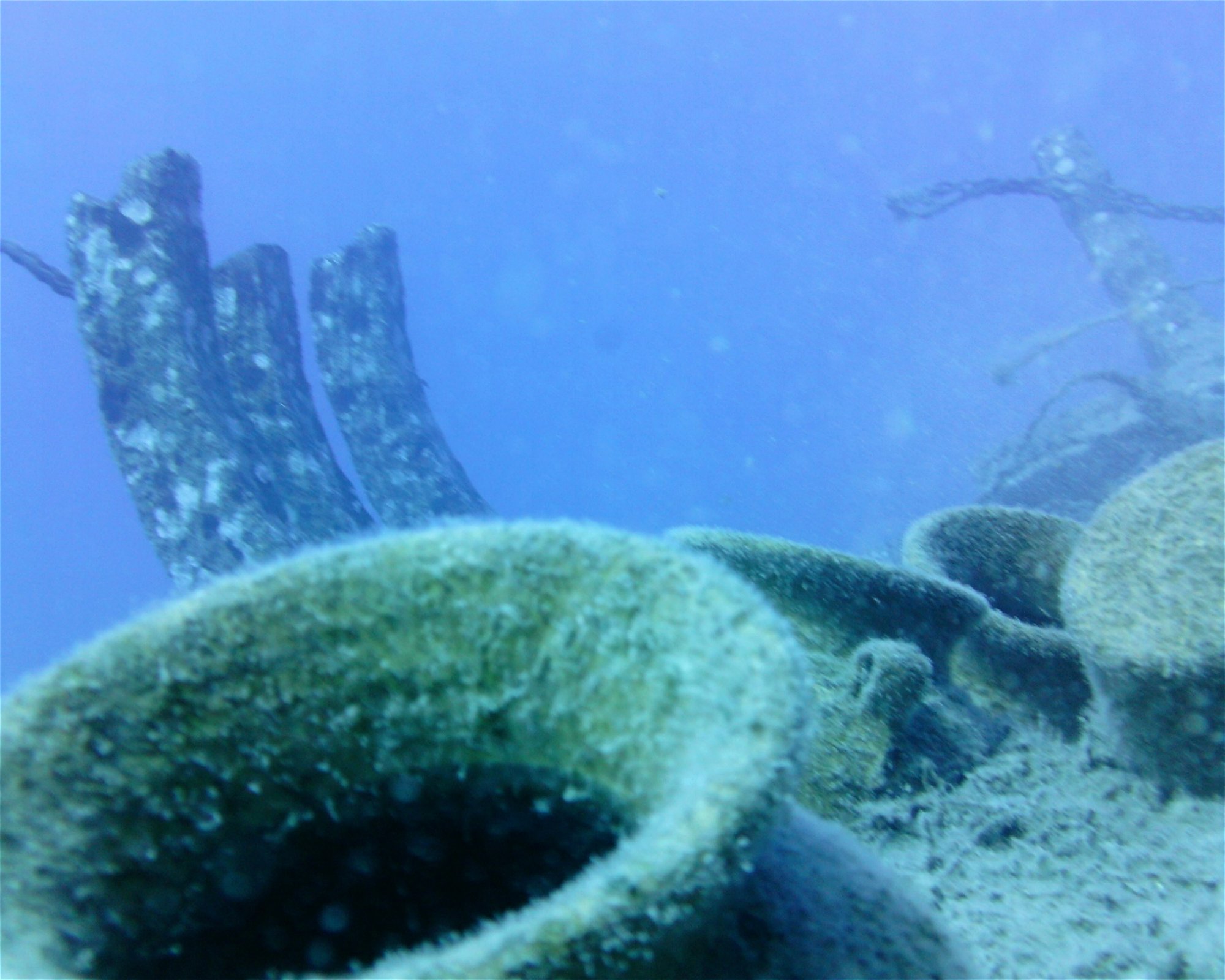 SCUBA SUR, 35120 Arguineguin