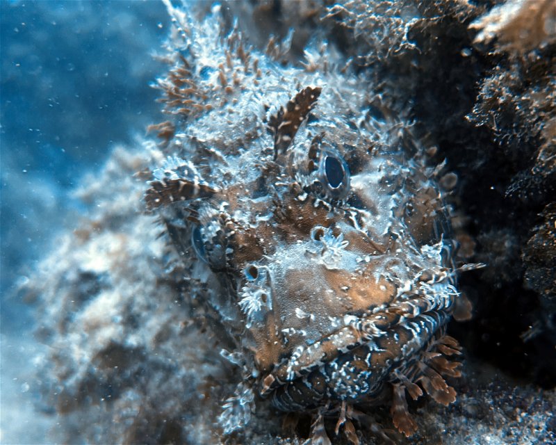 Divesite Image