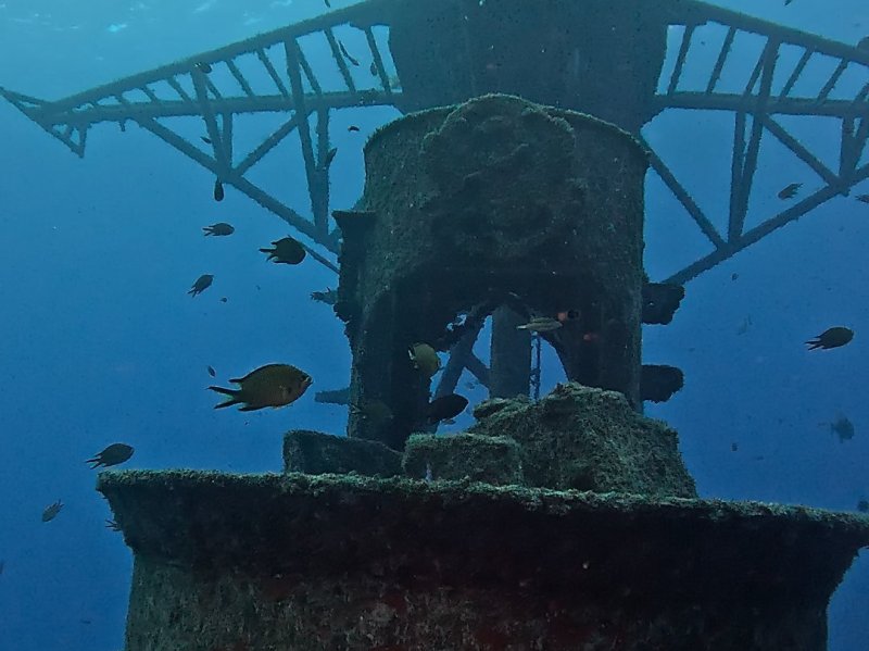 Divesite Image