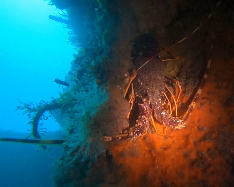 Divesite Image