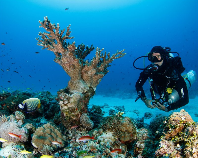 Divesite Image