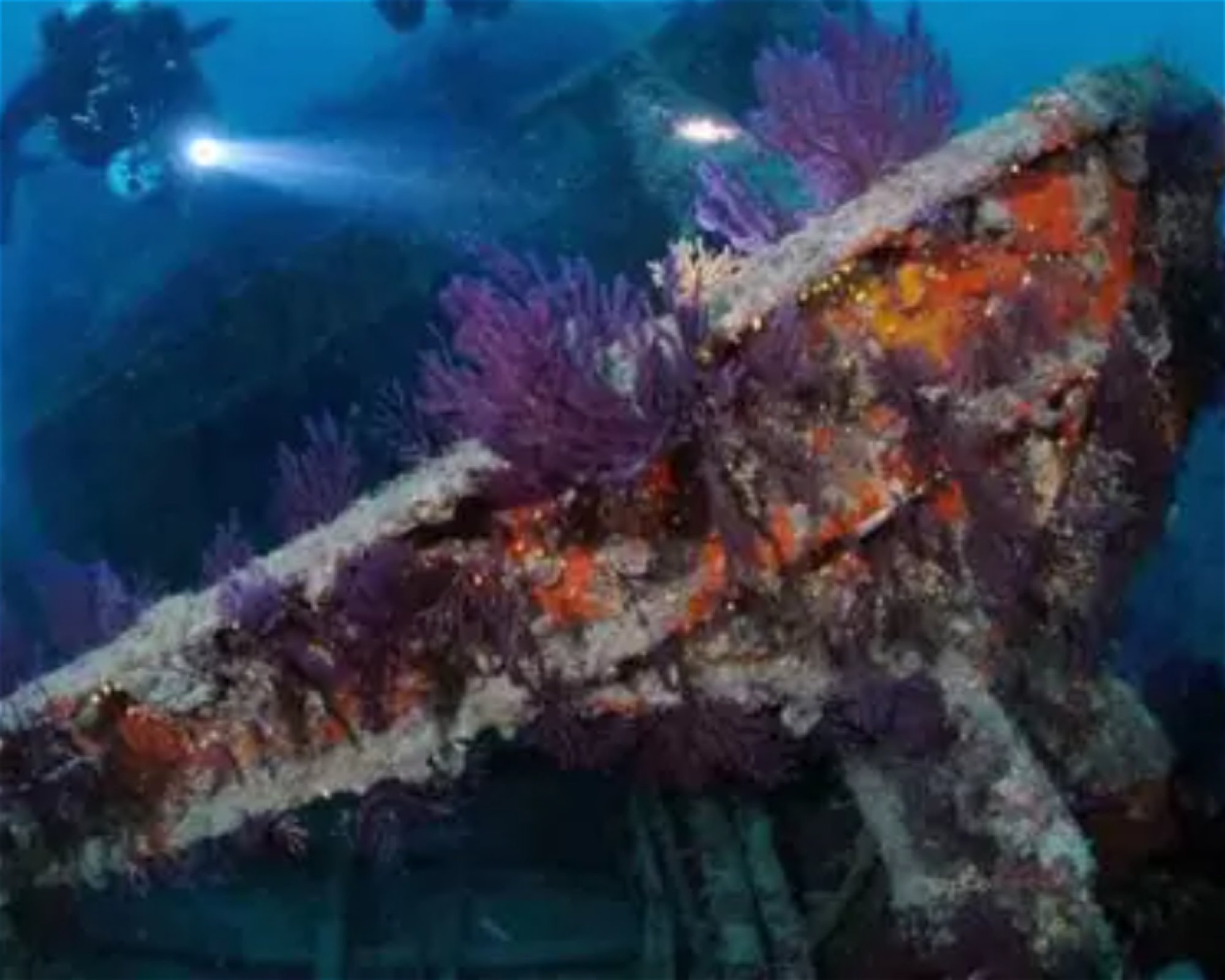 MASSUB DIVING CENTER - PORTOFINO, 16033 LAVAGNA
