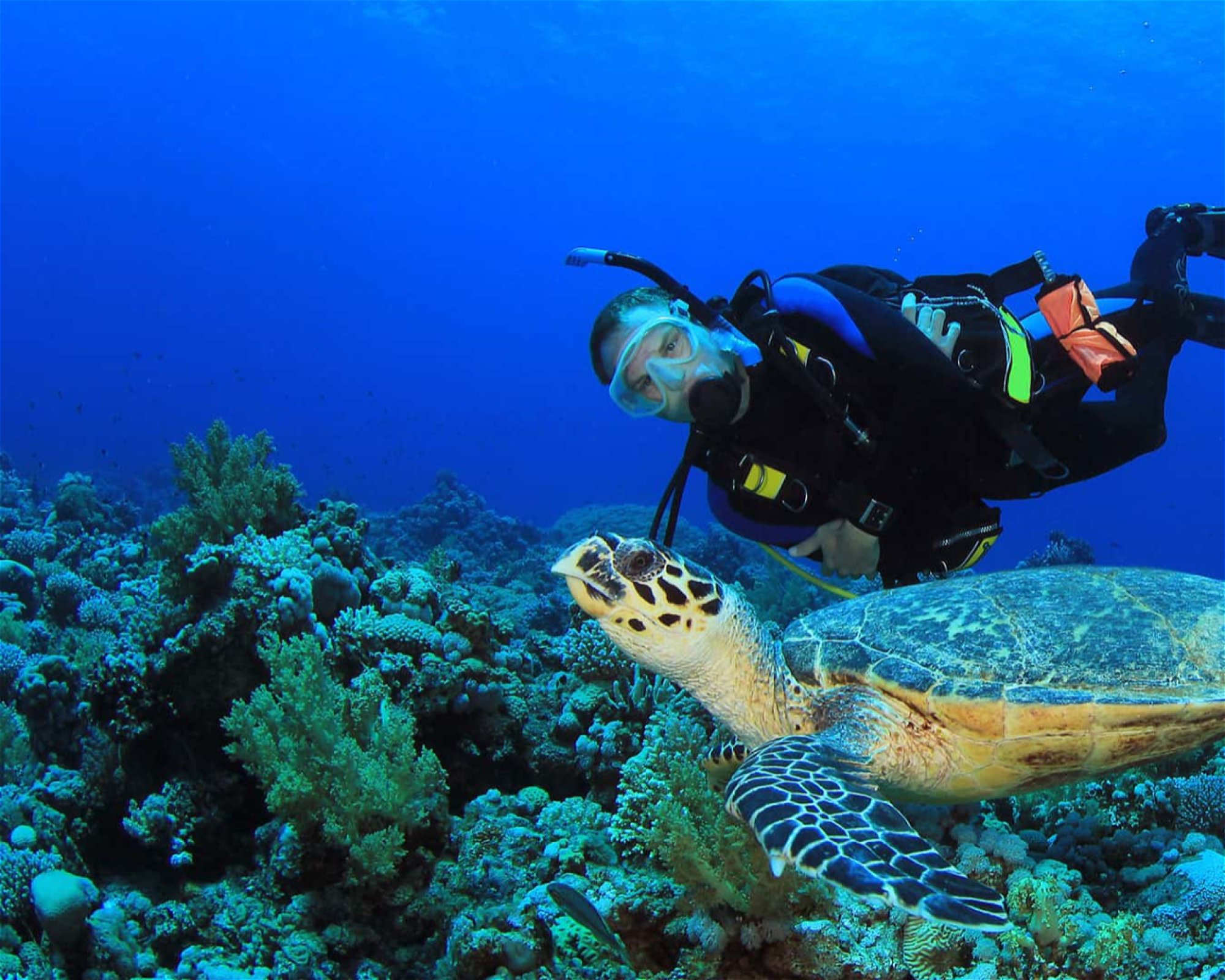 French Kiss Divers Coron, 5316 Palawan