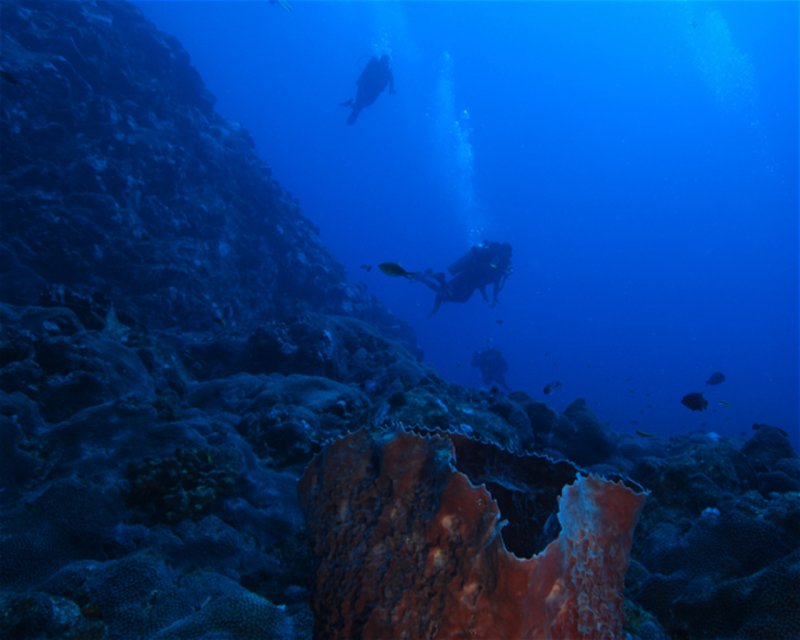 Divesite Image