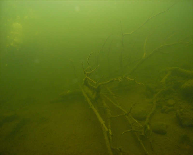 Divesite Image