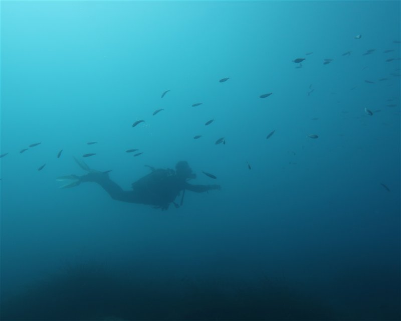 Divesite Image