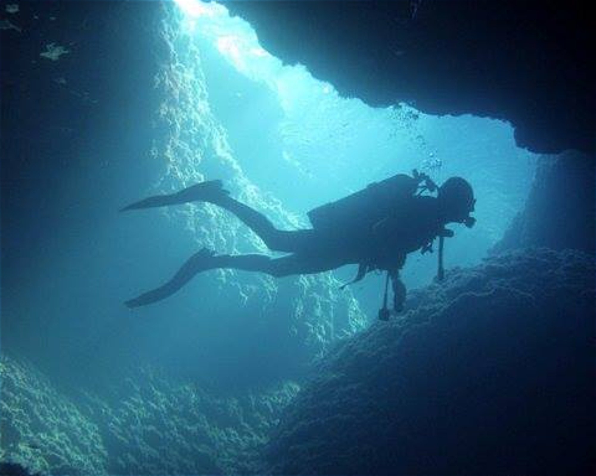 Gorgonia Diving Center, 34007 Skyros