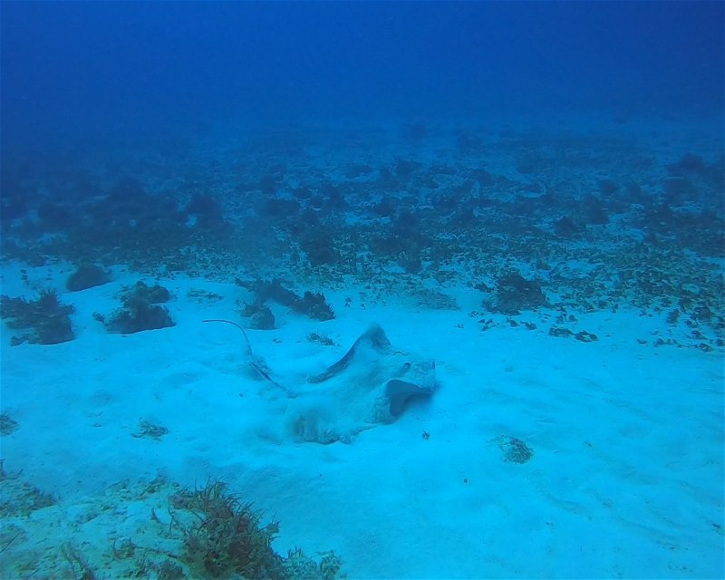 Divesite Image