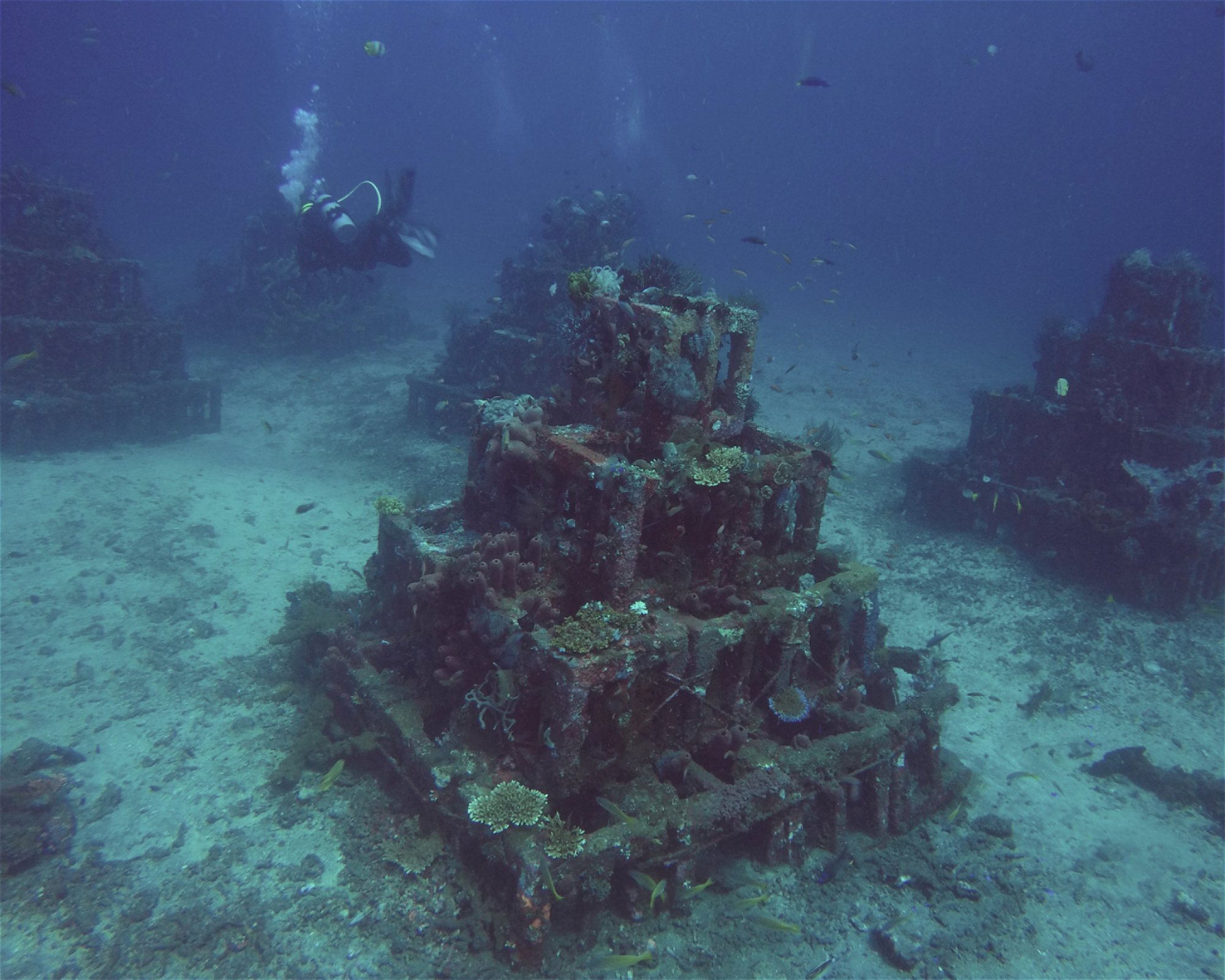 BALI FUN DIVING, 80224 Denpasar Selatan