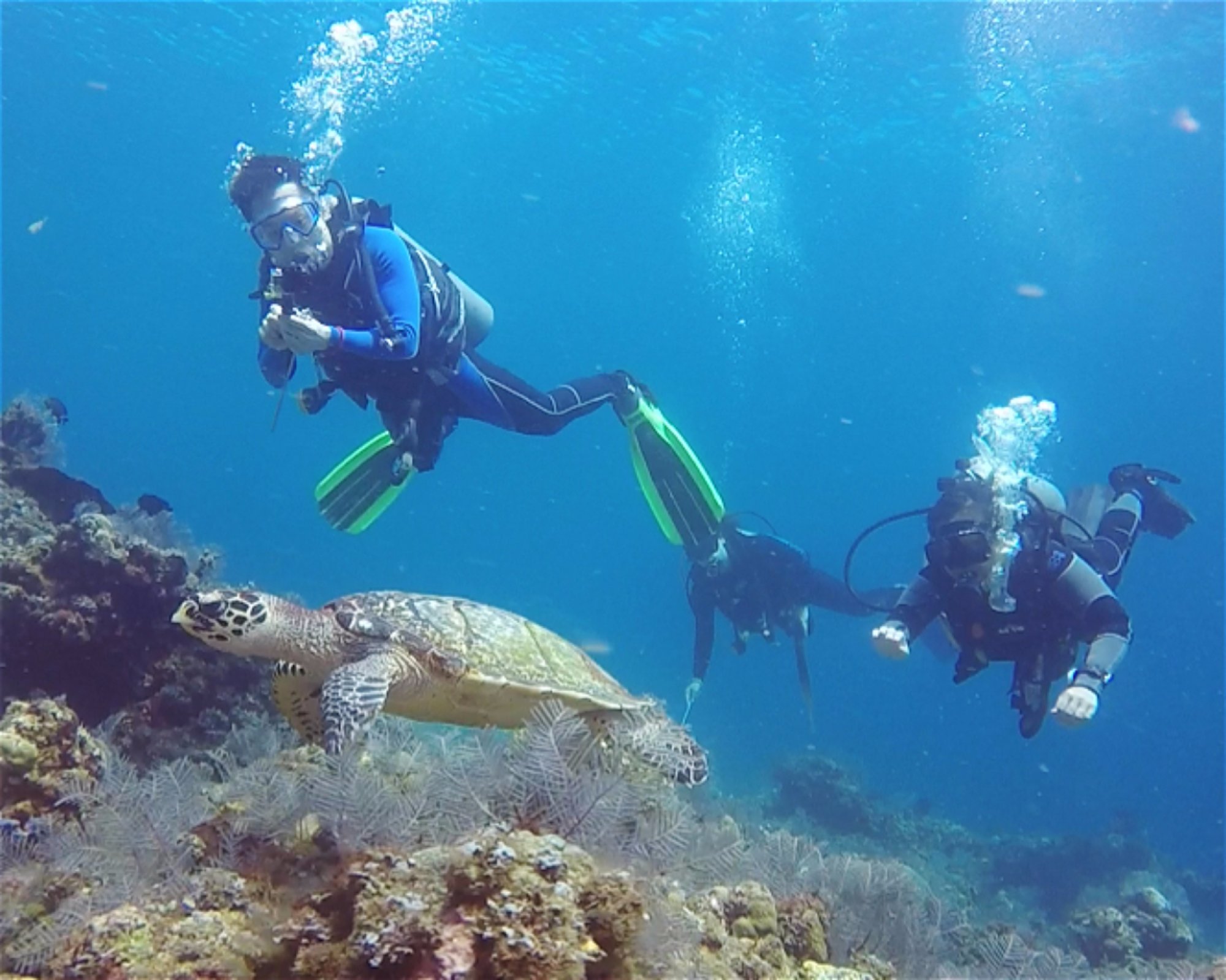 BALI FUN DIVING, 80224 Denpasar Selatan