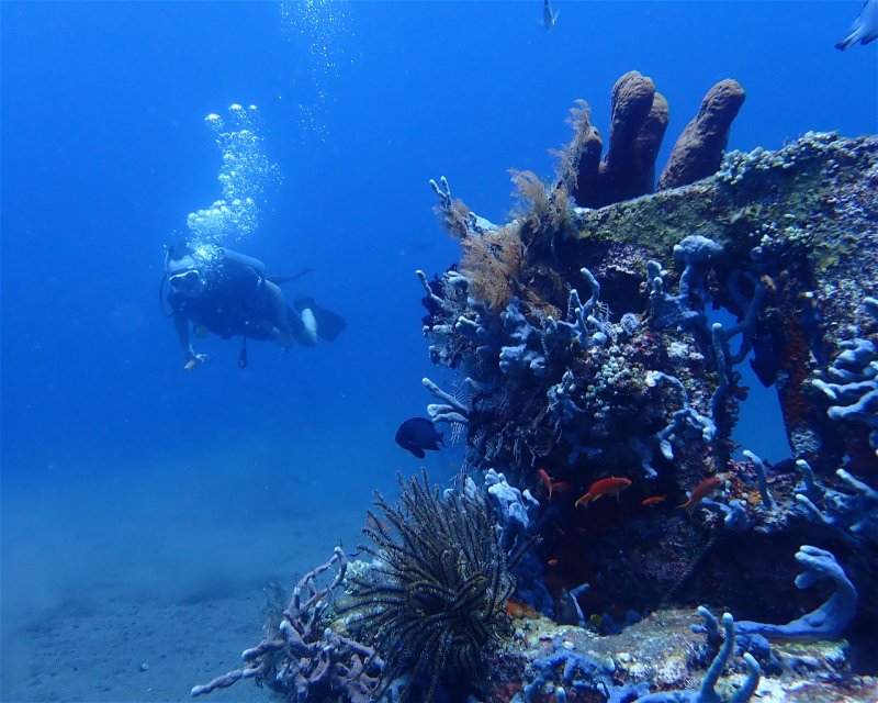 Divesite Image