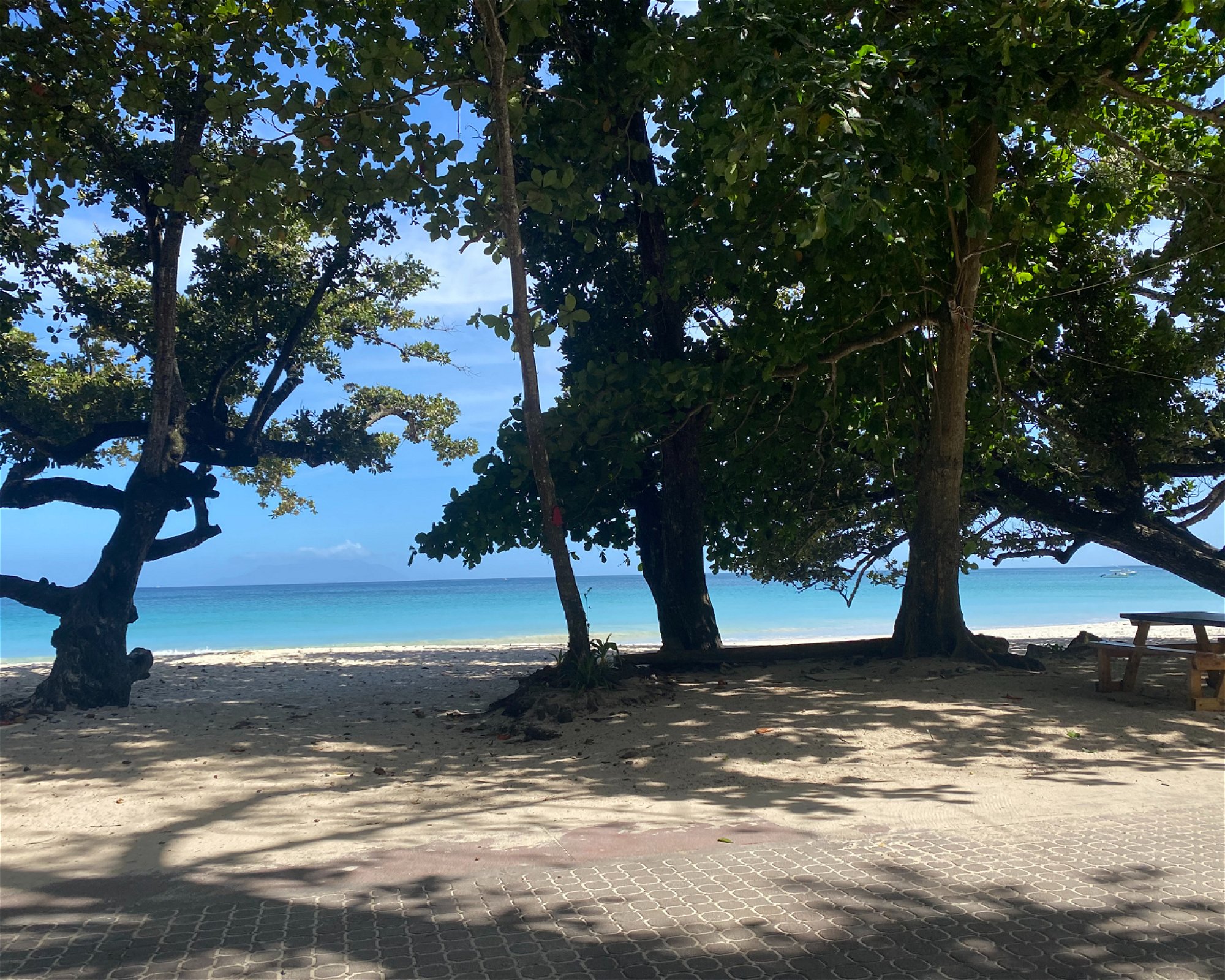 BLUE SEA DIVERS, 0000 MAHE