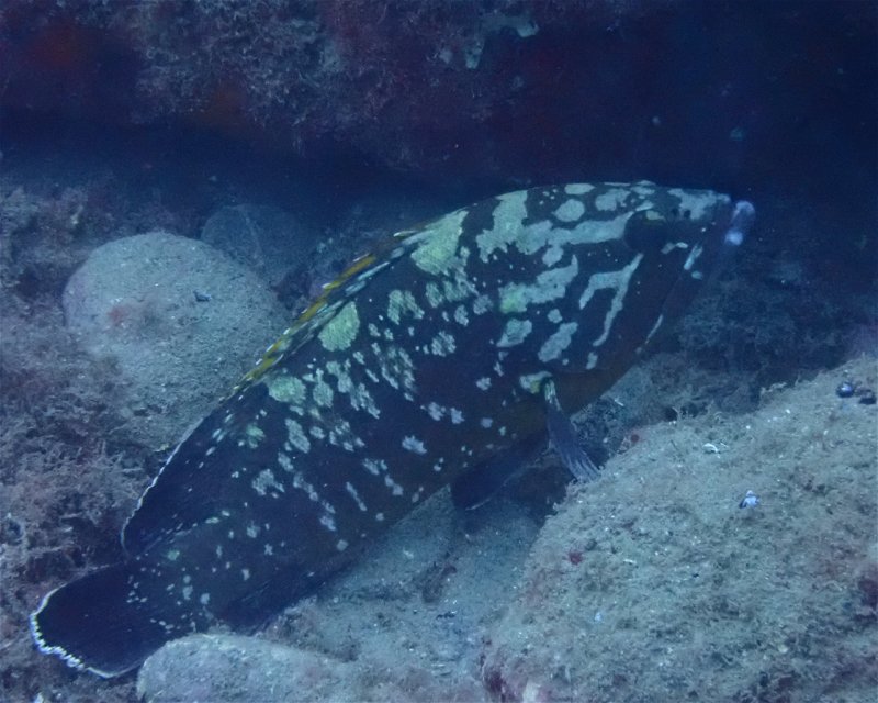 Divesite Image