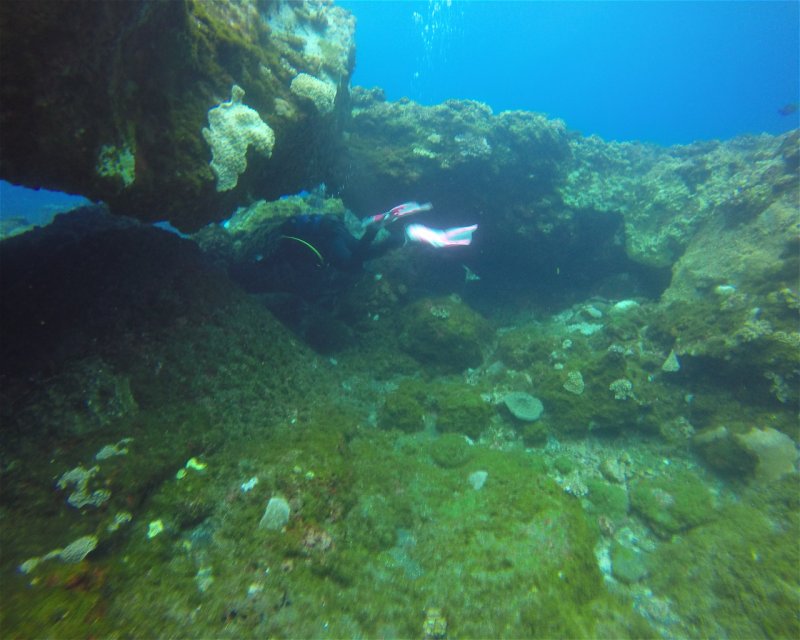 Divesite Image