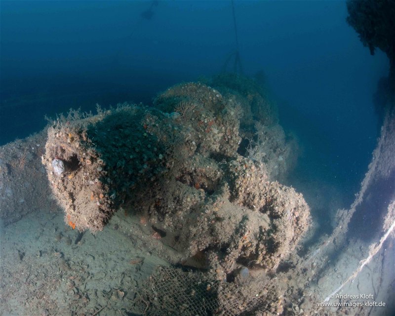 Divesite Image