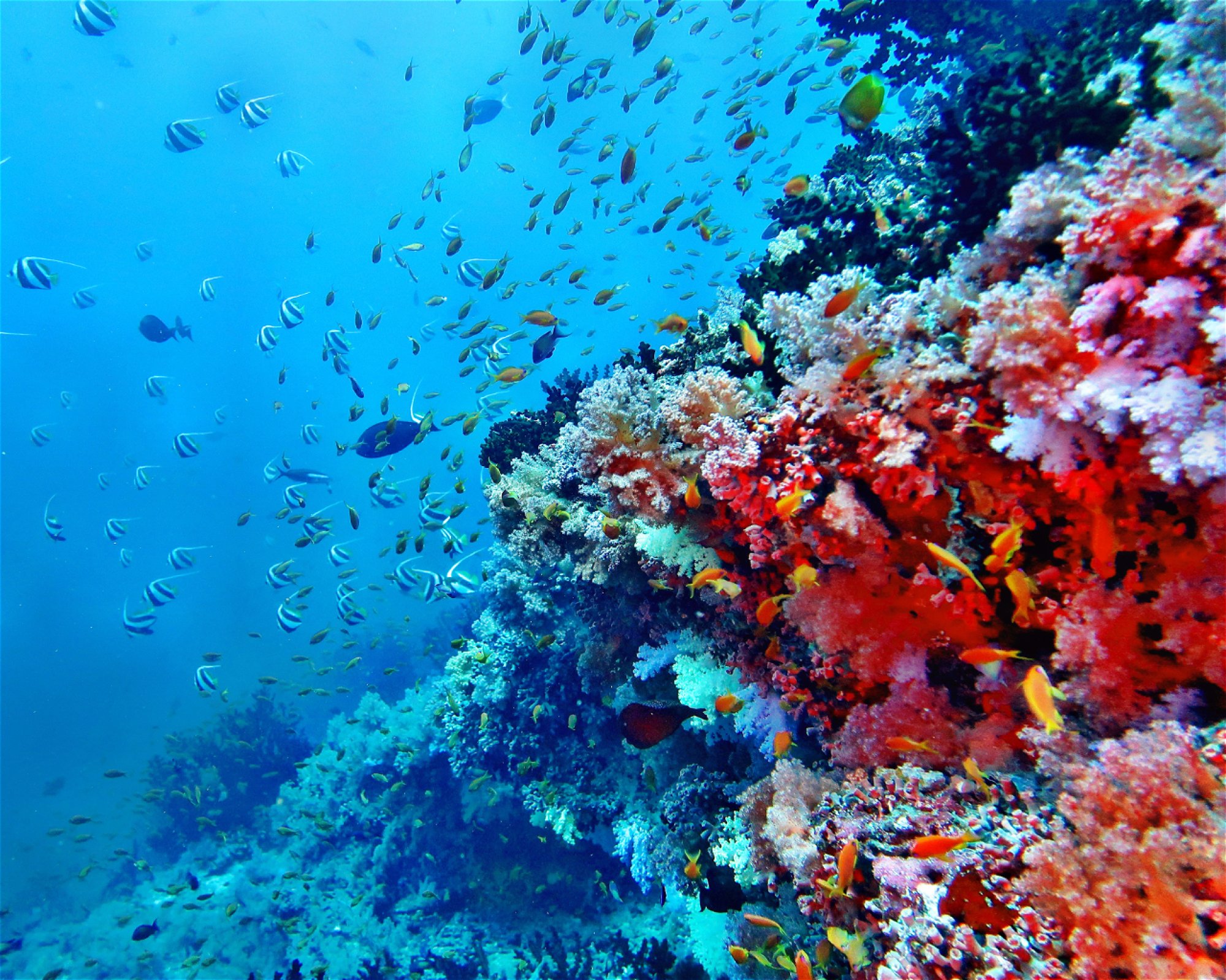 DivePoint Hudhuran Fushi, 20193 Male