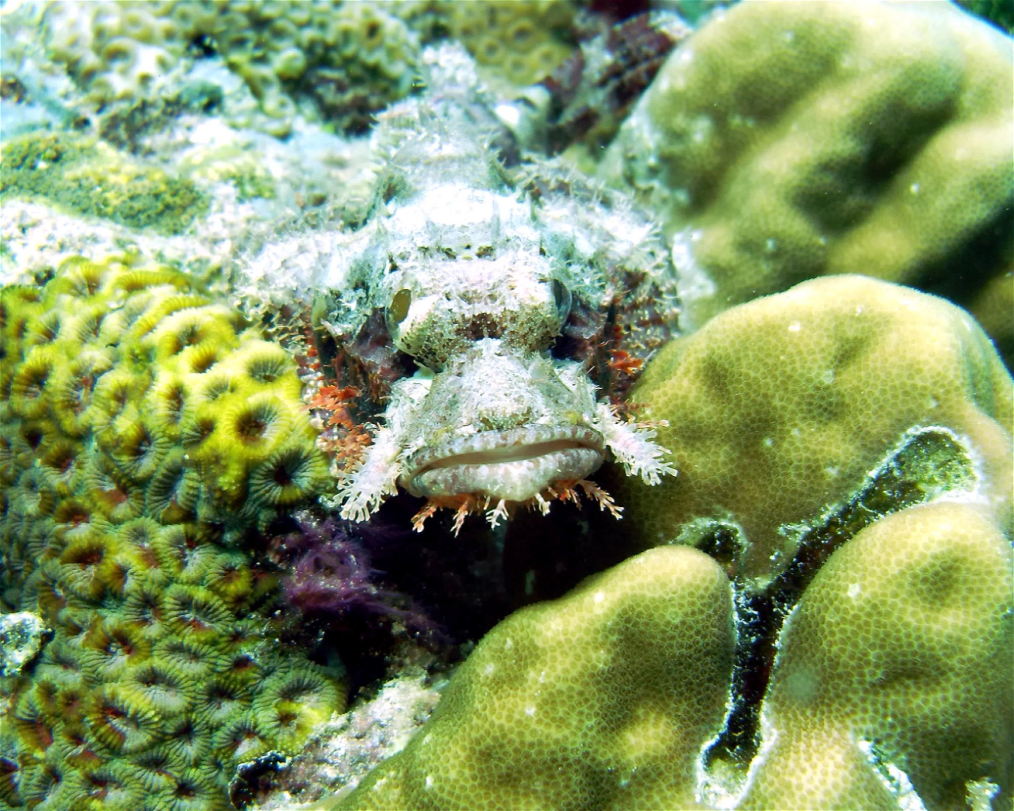 DivePoint Hudhuran Fushi, 20193 Male