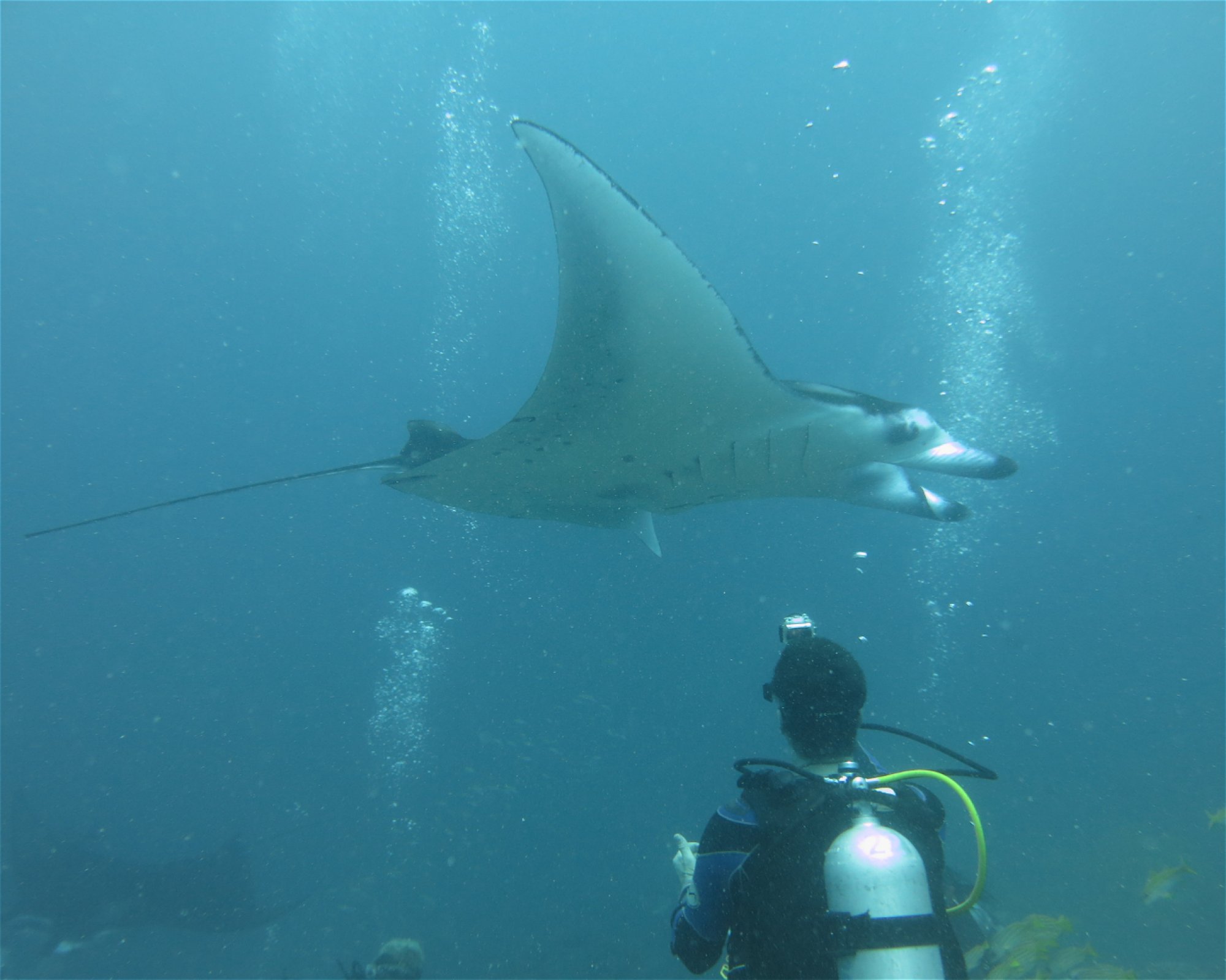 DivePoint Hudhuran Fushi, 20193 Male