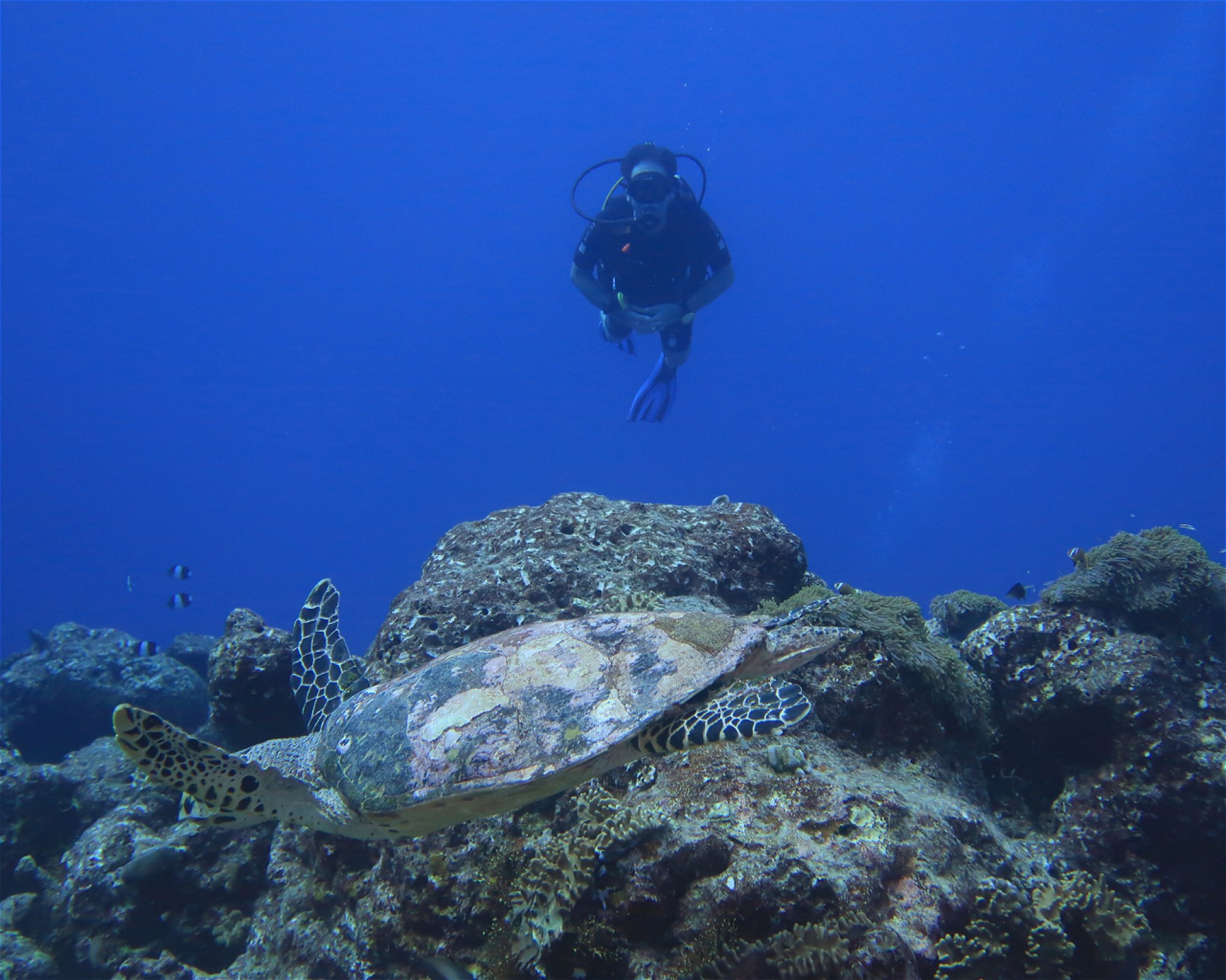 DivePoint Hudhuran Fushi, 20193 Male