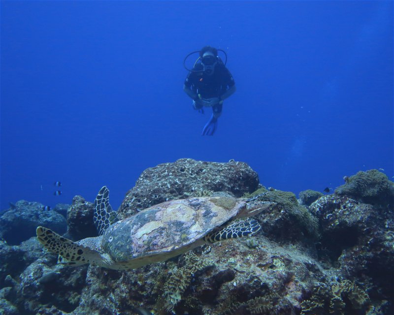 Divesite Image