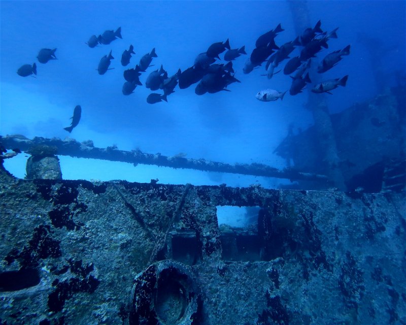 Divesite Image