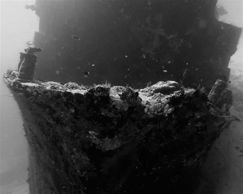 Divesite Image