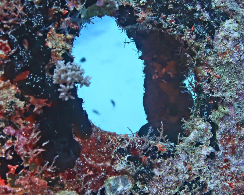 Divesite Image