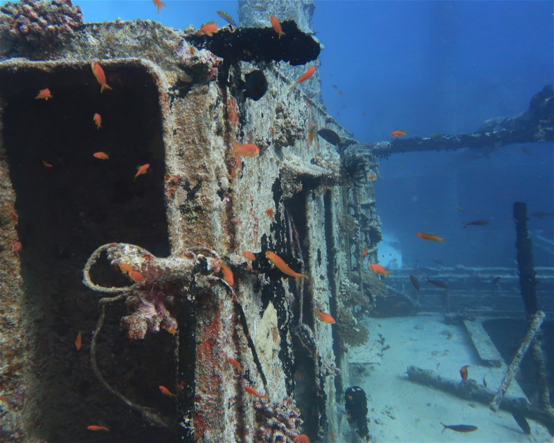 Divesite Image