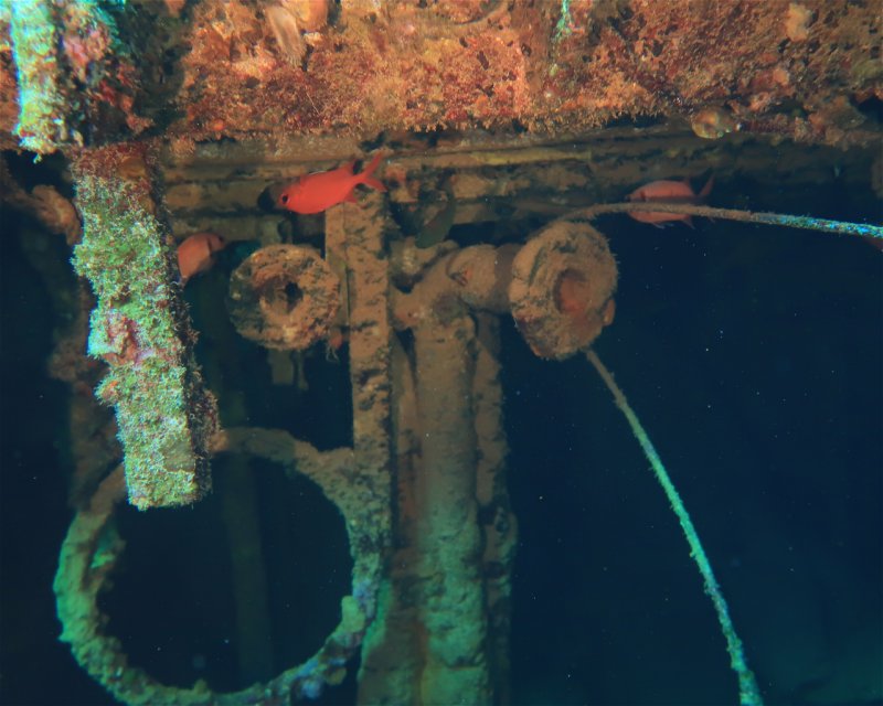 Divesite Image