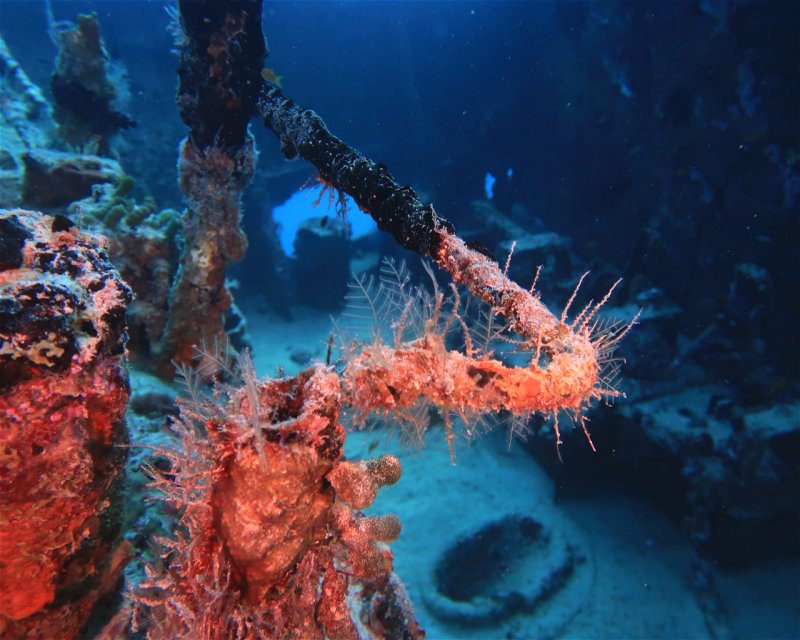 Divesite Image