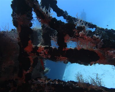 West Rock (Wreck) <span class="text-color-primary text-sm"> (★4.5)</span>