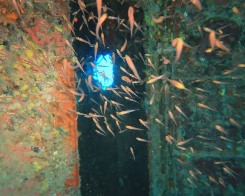 Divesite Image